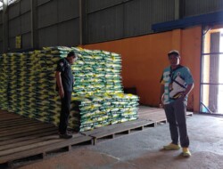 Stok Beras Bulog Biak Capai 1.800 Ton, Aman Penuhi Kebutuhan Masyarakat
