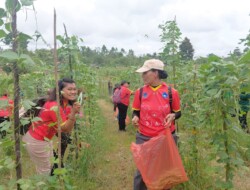 Sinergi GOW dan Pemda Biak Numfor Perkuat Ketahanan Pangan